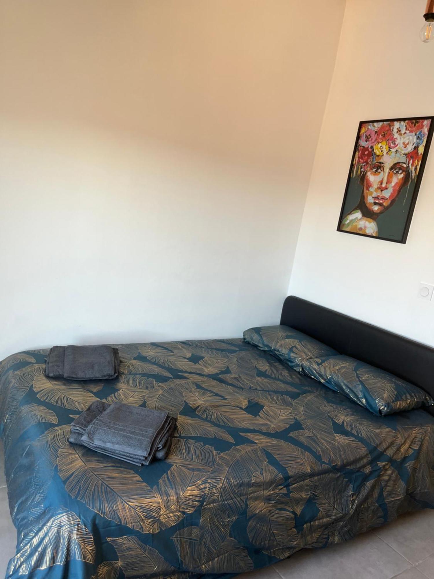 Charmant Appartement Climatise Quartier Las Cobas Perpignan Exterior foto